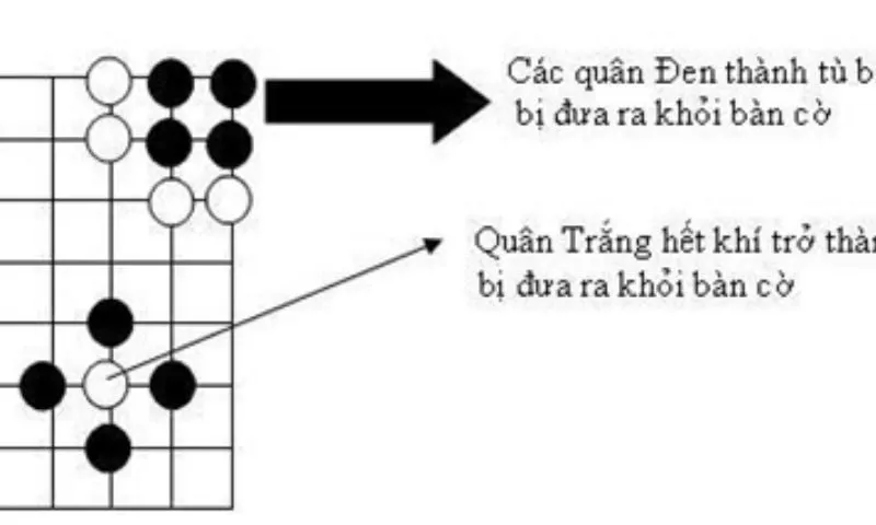 Luật Cờ Vây Trung Quốc Là Gì? Tổng Quan Về Luật Chơi